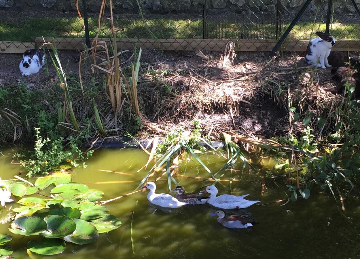 לינה וארוחת בוקר וילרוויל Domaine Du Grand Bec מראה חיצוני תמונה
